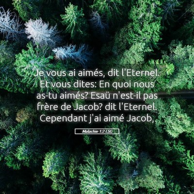 Picture 05 - Malachie 1:2 LSG - Je vous ai aimés, dit l'Eternel. Et vous dites: - Bible Verse Picture