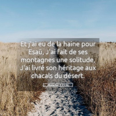 Picture 05 - Malachie 1:3 LSG - Et j'ai eu de la haine pour Esaü, J'ai fait de - Bible Verse Picture
