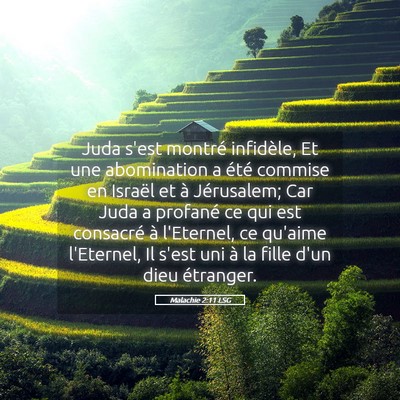 Picture 05 - Malachie 2:11 LSG - Juda s'est montré infidèle, Et une abomination - Bible Verse Picture