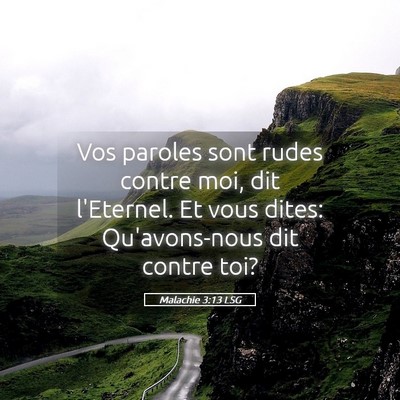 Picture 05 - Malachie 3:13 LSG - Vos paroles sont rudes contre moi, dit l'Eternel. - Bible Verse Picture