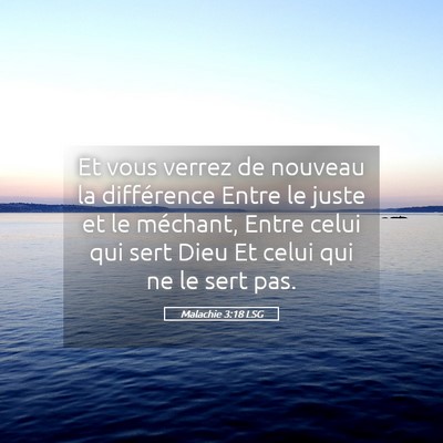 Picture 05 - Malachie 3:18 LSG - Et vous verrez de nouveau la différence Entre le - Bible Verse Picture