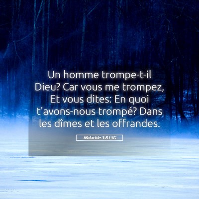 Picture 05 - Malachie 3:8 LSG - Un homme trompe-t-il Dieu? Car vous me trompez, - Bible Verse Picture