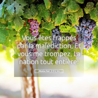 Picture 05 - Malachie 3:9 LSG - Vous êtes frappés par la malédiction, Et vous - Bible Verse Picture