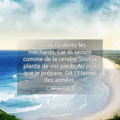 Picture 05 - Malachie 4:3 LSG - Et vous foulerez les méchants, Car ils seront - Bible Verse Picture