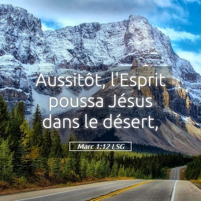 Picture 05 - Marc 1:12 LSG - Aussitôt, l'Esprit poussa Jésus dans le - Bible Verse Picture