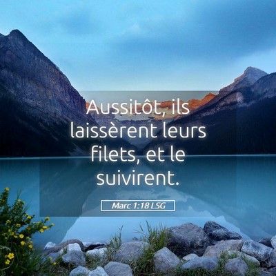 Picture 05 - Marc 1:18 LSG - Aussitôt, ils laissèrent leurs filets, et le - Bible Verse Picture