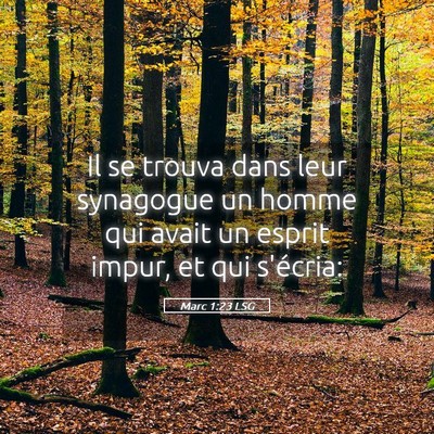 Picture 05 - Marc 1:23 LSG - Il se trouva dans leur synagogue un homme qui - Bible Verse Picture