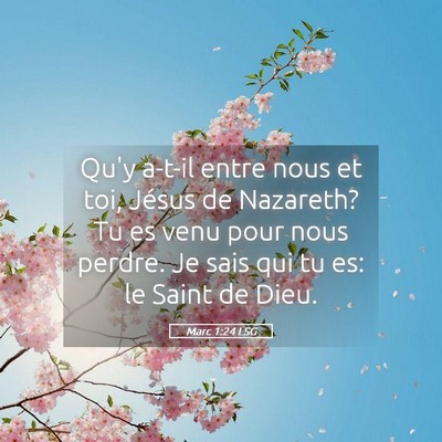 Picture 05 - Marc 1:24 LSG - Qu'y a-t-il entre nous et toi, Jésus de - Bible Verse Picture