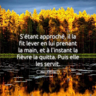 Picture 05 - Marc 1:31 LSG - S'étant approché, il la fit lever en lui - Bible Verse Picture