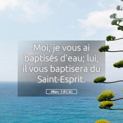 Picture 05 - Marc 1:8 LSG - Moi, je vous ai baptisés d'eau; lui, il vous - Bible Verse Picture