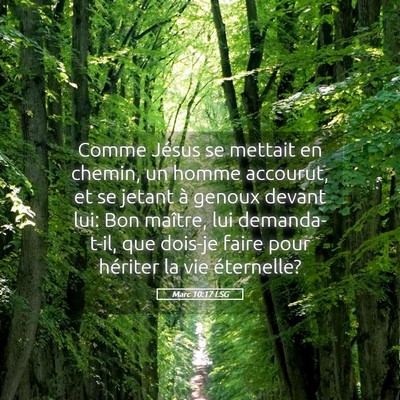 Picture 05 - Marc 10:17 LSG - Comme Jésus se mettait en chemin, un homme - Bible Verse Picture