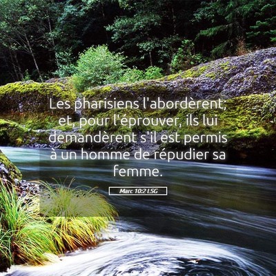 Picture 05 - Marc 10:2 LSG - Les pharisiens l'abordèrent; et, pour - Bible Verse Picture