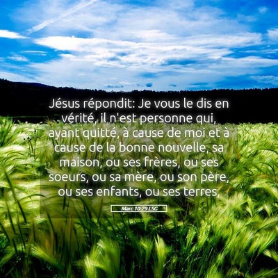Picture 05 - Marc 10:29 LSG - Jésus répondit: Je vous le dis en vérité, il - Bible Verse Picture