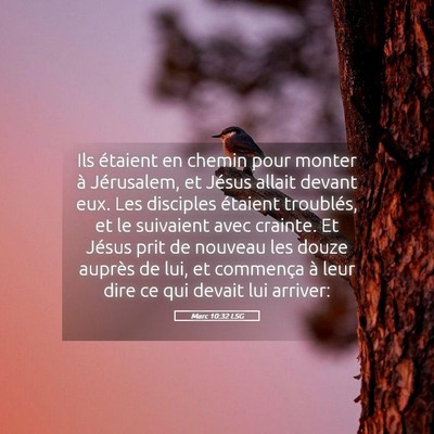 Picture 05 - Marc 10:32 LSG - Ils étaient en chemin pour monter à Jérusalem, - Bible Verse Picture