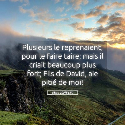 Picture 05 - Marc 10:48 LSG - Plusieurs le reprenaient, pour le faire taire; - Bible Verse Picture