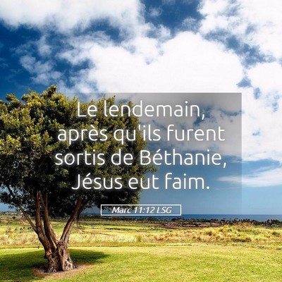 Picture 05 - Marc 11:12 LSG - Le lendemain, après qu'ils furent sortis de - Bible Verse Picture