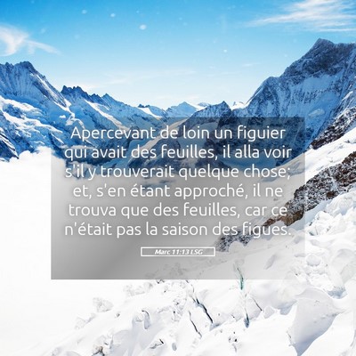 Picture 05 - Marc 11:13 LSG - Apercevant de loin un figuier qui avait des - Bible Verse Picture