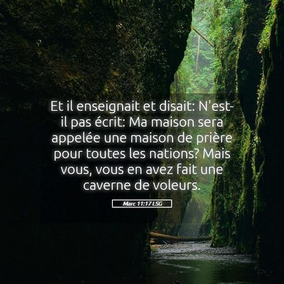 Picture 05 - Marc 11:17 LSG - Et il enseignait et disait: N'est-il pas écrit: - Bible Verse Picture