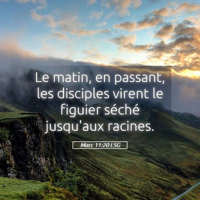 Picture 05 - Marc 11:20 LSG - Le matin, en passant, les disciples virent le - Bible Verse Picture