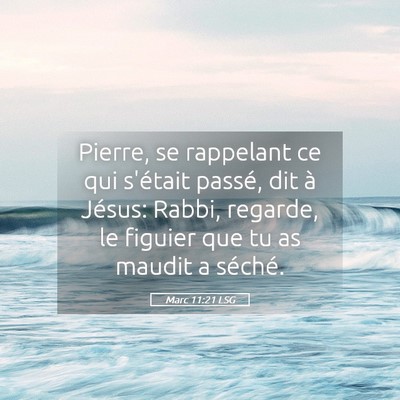 Picture 05 - Marc 11:21 LSG - Pierre, se rappelant ce qui s'était passé, dit - Bible Verse Picture