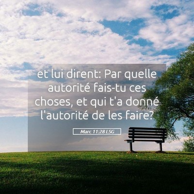 Picture 05 - Marc 11:28 LSG - et lui dirent: Par quelle autorité fais-tu ces - Bible Verse Picture
