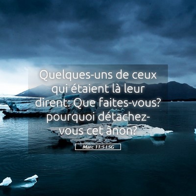 Picture 05 - Marc 11:5 LSG - Quelques-uns de ceux qui étaient là leur - Bible Verse Picture