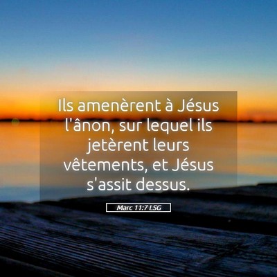 Picture 05 - Marc 11:7 LSG - Ils amenèrent à Jésus l'ânon, sur lequel ils - Bible Verse Picture