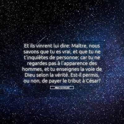 Picture 05 - Marc 12:14 LSG - Et ils vinrent lui dire: Maître, nous savons que - Bible Verse Picture