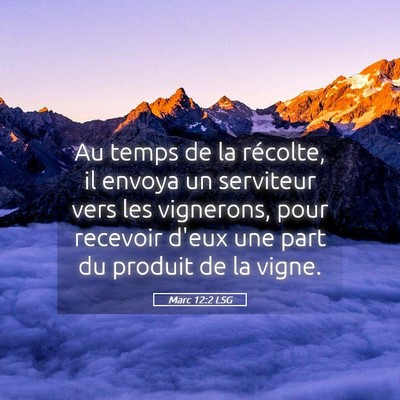 Picture 05 - Marc 12:2 LSG - Au temps de la récolte, il envoya un serviteur - Bible Verse Picture