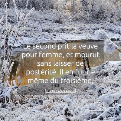 Picture 05 - Marc 12:21 LSG - Le second prit la veuve pour femme, et mourut - Bible Verse Picture