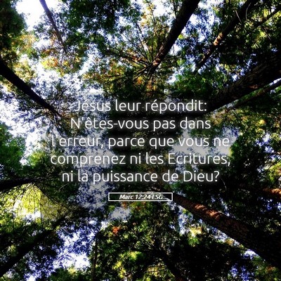 Picture 05 - Marc 12:24 LSG - Jésus leur répondit: N'êtes-vous pas dans - Bible Verse Picture