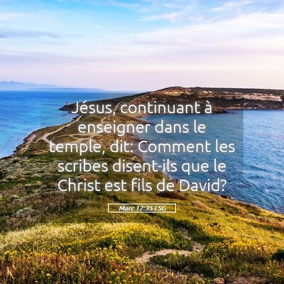Picture 05 - Marc 12:35 LSG - Jésus, continuant à enseigner dans le temple, - Bible Verse Picture