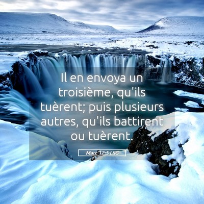 Picture 05 - Marc 12:5 LSG - Il en envoya un troisième, qu'ils tuèrent; puis - Bible Verse Picture