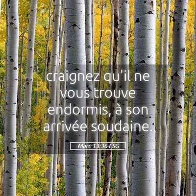 Picture 05 - Marc 13:36 LSG - craignez qu'il ne vous trouve endormis, à son - Bible Verse Picture