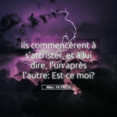 Picture 05 - Marc 14:19 LSG - Ils commencèrent à s'attrister, et à lui dire, - Bible Verse Picture