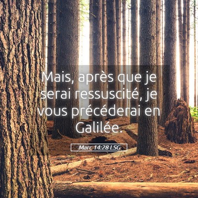 Picture 05 - Marc 14:28 LSG - Mais, après que je serai ressuscité, je vous - Bible Verse Picture