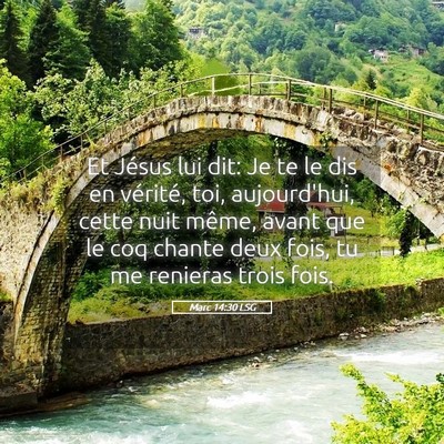 Picture 05 - Marc 14:30 LSG - Et Jésus lui dit: Je te le dis en vérité, toi, - Bible Verse Picture