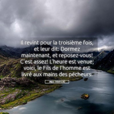 Picture 05 - Marc 14:41 LSG - Il revint pour la troisième fois, et leur dit: - Bible Verse Picture