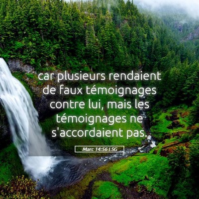 Picture 05 - Marc 14:56 LSG - car plusieurs rendaient de faux témoignages - Bible Verse Picture