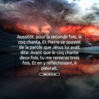Picture 05 - Marc 14:72 LSG - Aussitôt, pour la seconde fois, le coq chanta. - Bible Verse Picture