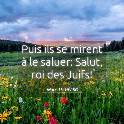 Picture 05 - Marc 15:18 LSG - Puis ils se mirent à le saluer: Salut, roi des - Bible Verse Picture
