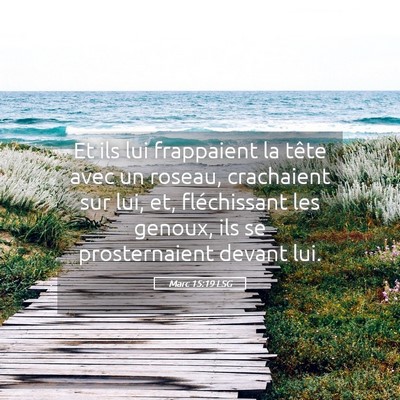 Picture 05 - Marc 15:19 LSG - Et ils lui frappaient la tête avec un roseau, - Bible Verse Picture