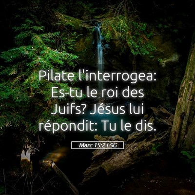 Picture 05 - Marc 15:2 LSG - Pilate l'interrogea: Es-tu le roi des Juifs? - Bible Verse Picture