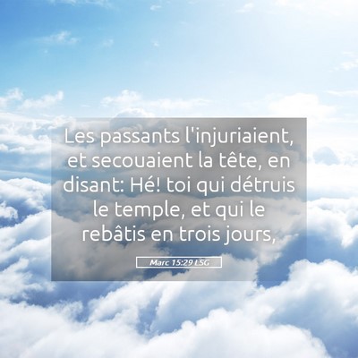 Picture 05 - Marc 15:29 LSG - Les passants l'injuriaient, et secouaient la - Bible Verse Picture