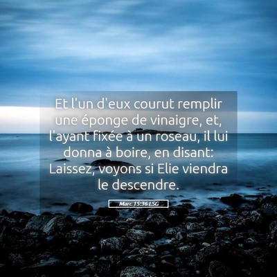 Picture 05 - Marc 15:36 LSG - Et l'un d'eux courut remplir une éponge de - Bible Verse Picture