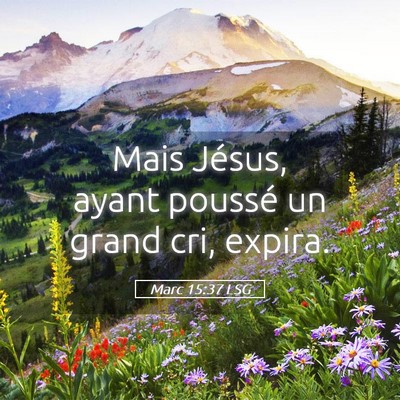 Picture 05 - Marc 15:37 LSG - Mais Jésus, ayant poussé un grand cri, - Bible Verse Picture