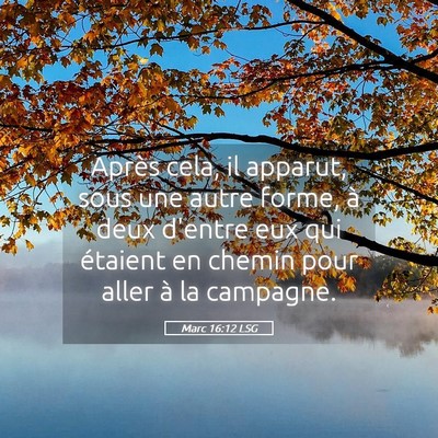 Picture 05 - Marc 16:12 LSG - Après cela, il apparut, sous une autre forme, à - Bible Verse Picture