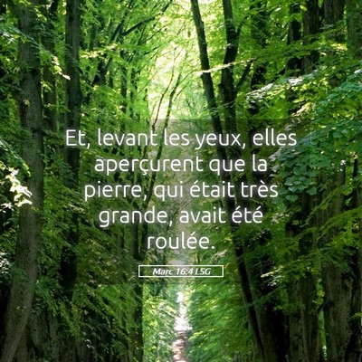 Picture 05 - Marc 16:4 LSG - Et, levant les yeux, elles aperçurent que la - Bible Verse Picture