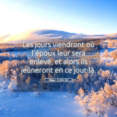 Picture 05 - Marc 2:20 LSG - Les jours viendront où l'époux leur sera - Bible Verse Picture