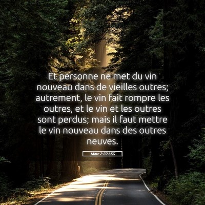 Picture 05 - Marc 2:22 LSG - Et personne ne met du vin nouveau dans de - Bible Verse Picture